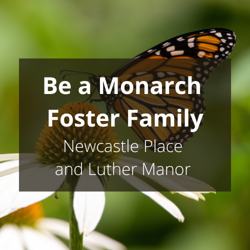 Be a Monarch Foster Family