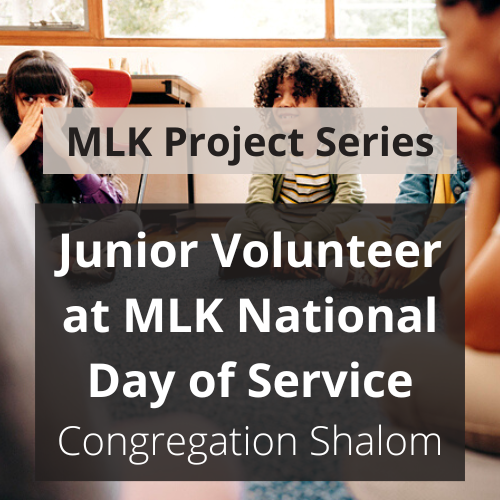 Junior Volunteer at MLK Day Event