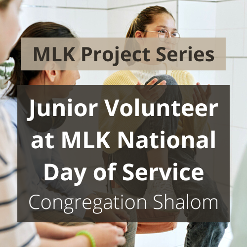Junior Volunteer at MLK Day Event
