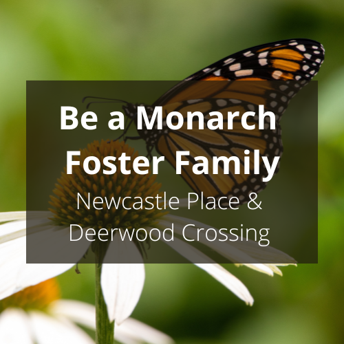 Be a Monarch Foster Family