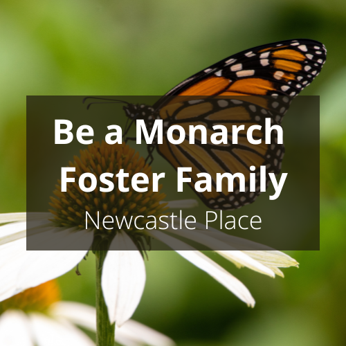 Be a Monarch Foster Family