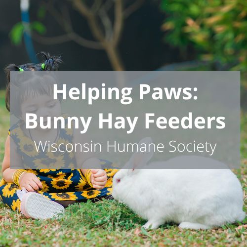 Helping Paws: Bunny Hay Feeders
