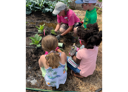 Gardening for Good: Hoop House Helpers with Kinship Community Food Center