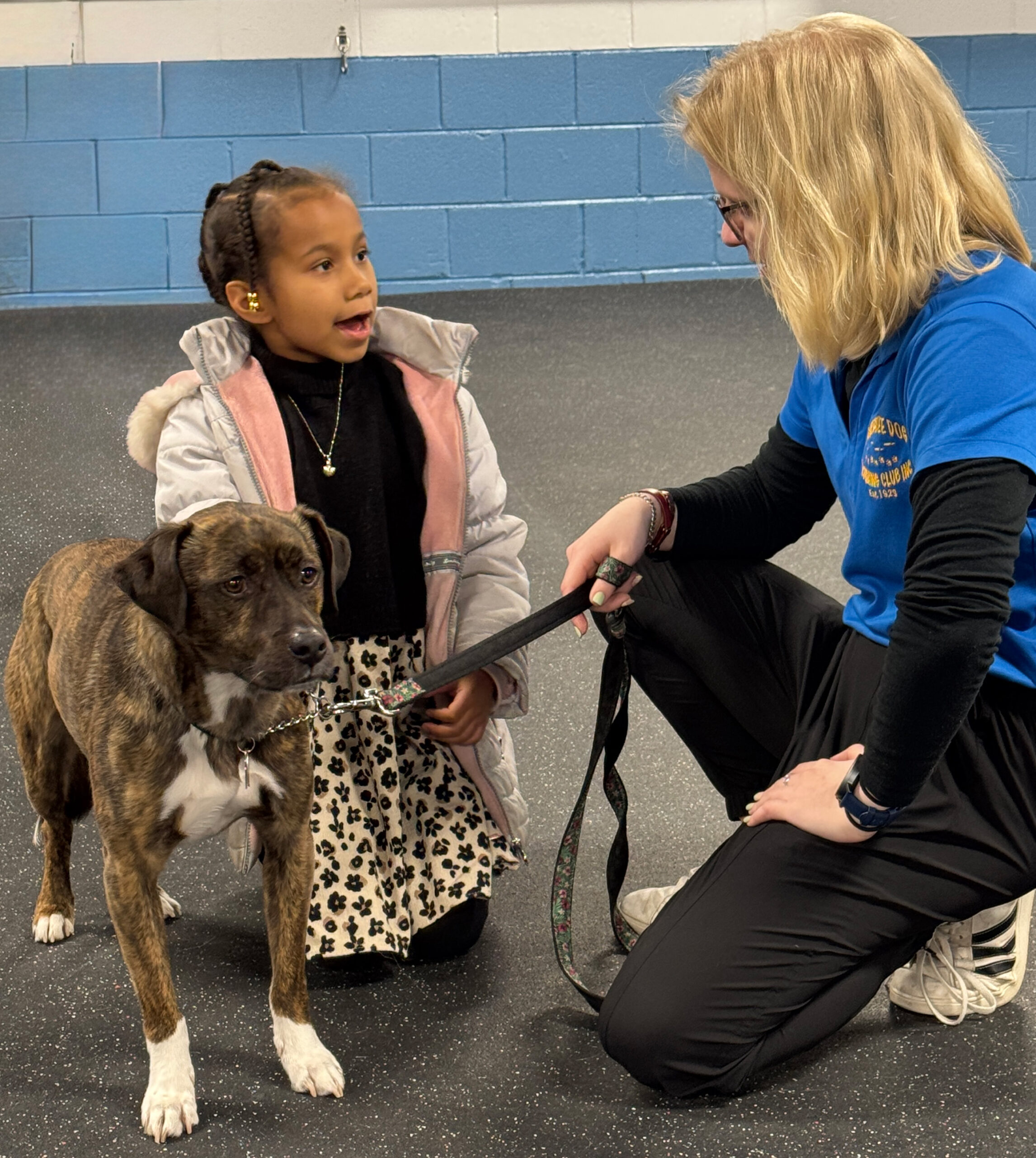 Paw Power: Learn About Safe Dog Interactions & Create Tug Toys with Wisconsin's Humane Society