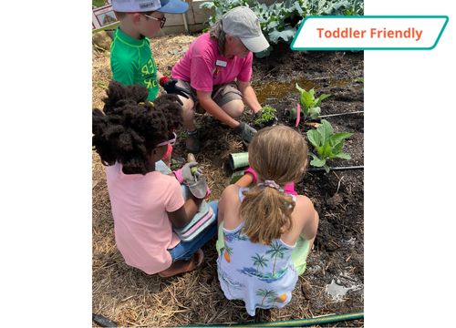 Gardening for Good: Hoop House Helpers with Kinship Community Food Center