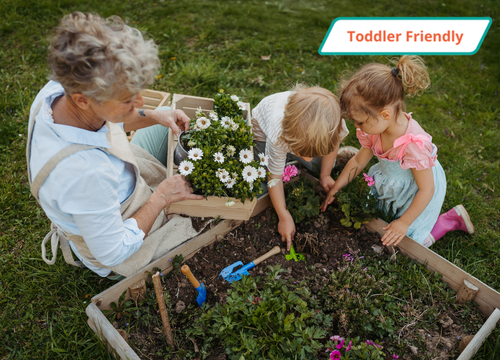 Spring Yard Clean Up for Seniors 2026