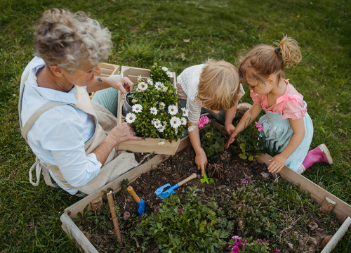 Spring Yard Clean Up for Seniors 2026