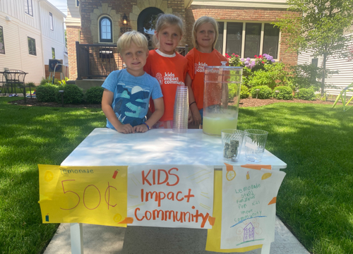 Summer Lemonade Stand for a Cause